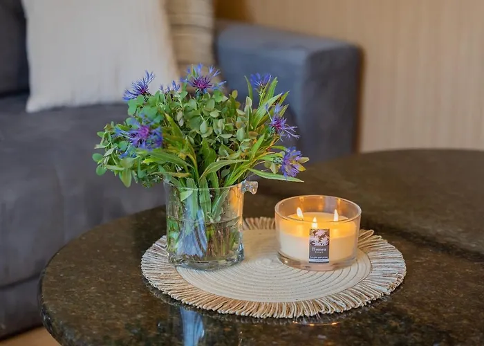 With Sauna And Private Terrace