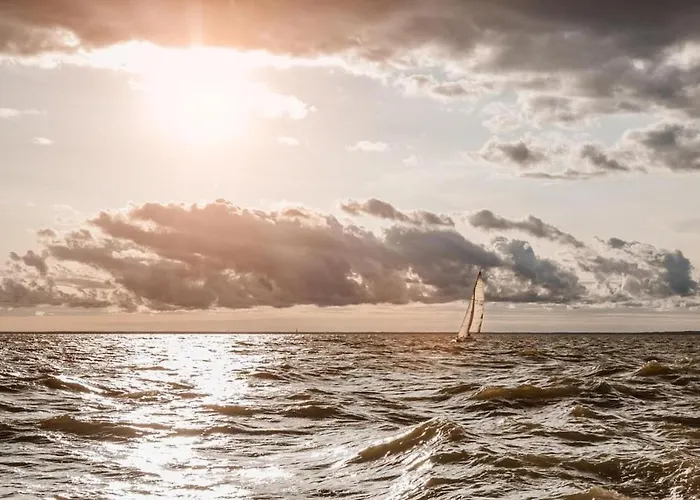 With Sauna And Private Terrace Lejlighed